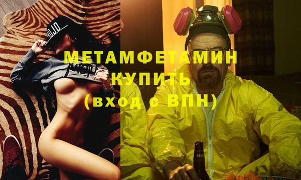 прущие грибы Беломорск