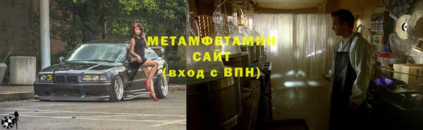 прущие грибы Беломорск