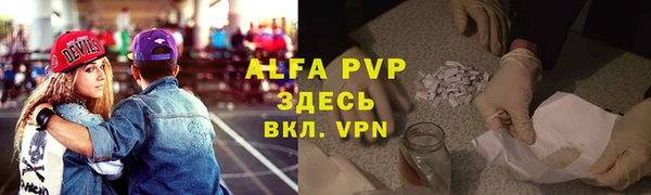 прущие грибы Беломорск