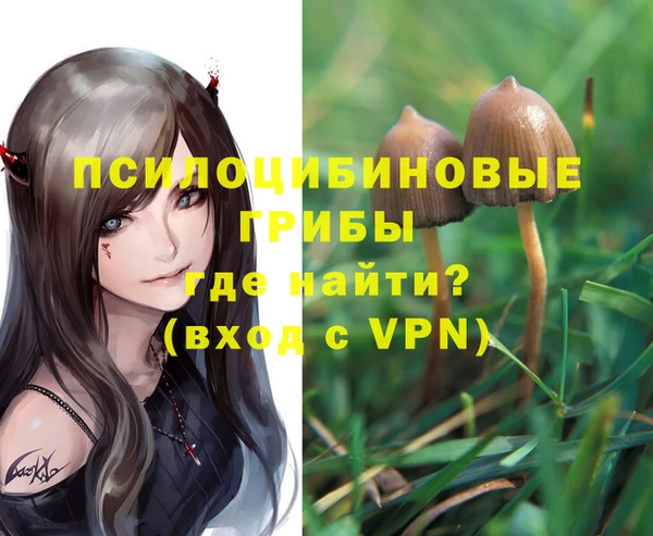 прущие грибы Беломорск
