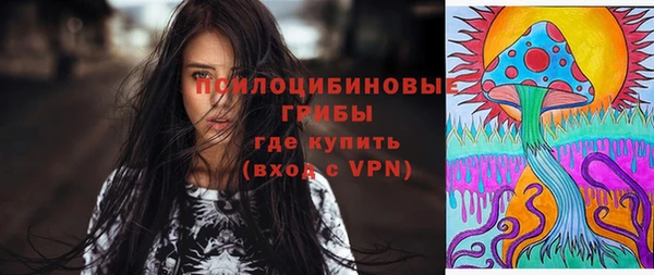 прущие грибы Беломорск