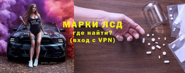прущие грибы Беломорск