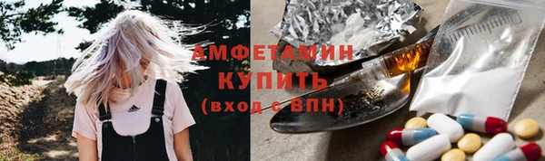 прущие грибы Беломорск
