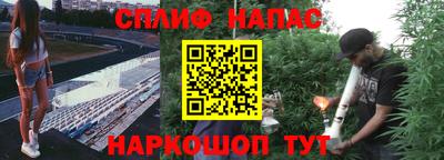 гашик Ипатово