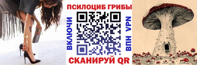 мориарти телеграм  даркнет сайт  Славгород  Галлюциногенные грибы GOLDEN TEACHER 