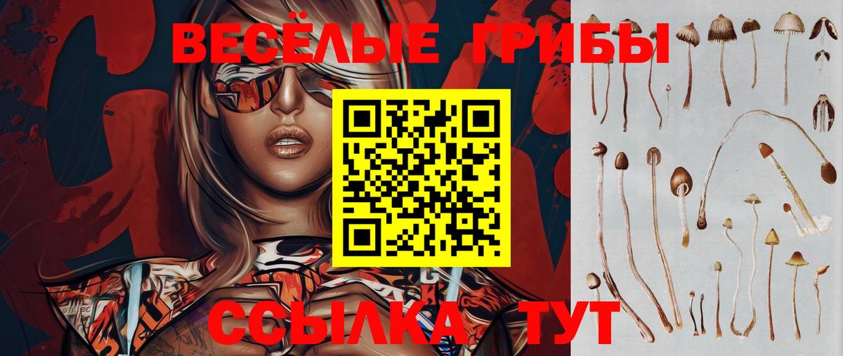 Псилоцибиновые грибы ЛСД Славгород