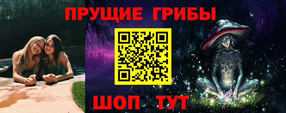 Галлюциногенные грибы мицелий  Вход с VPN  продажа наркотиков  Славгород 