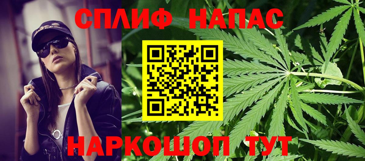 Марихуана план Славгород